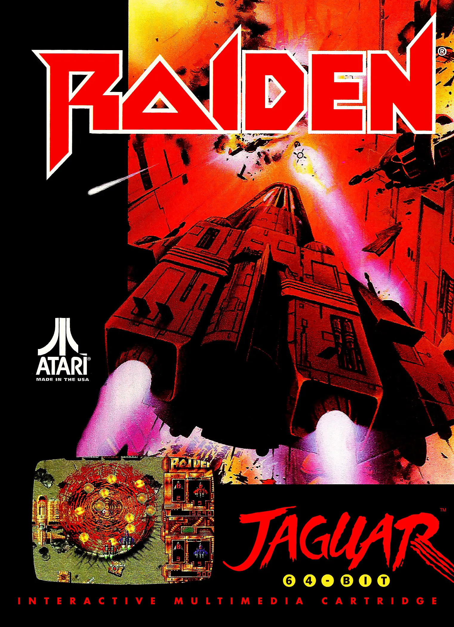 Capa de Raiden