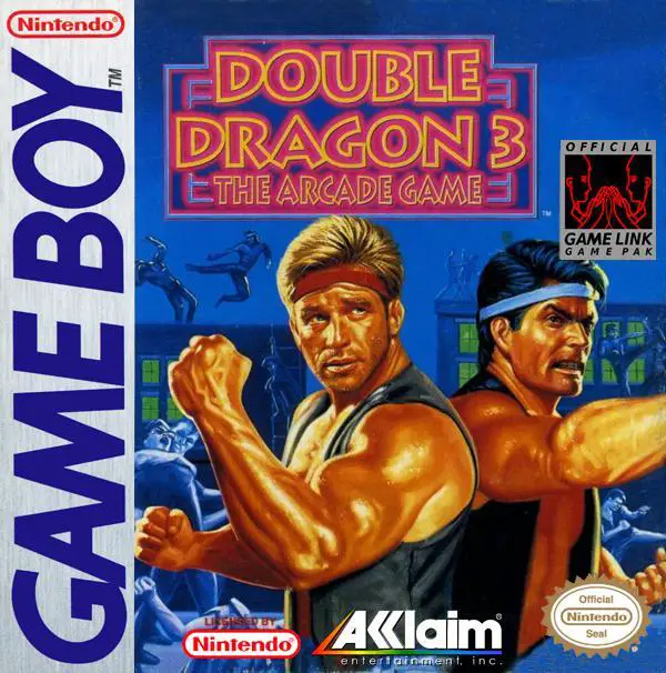 Capa de Double Dragon 3: The Arcade Game