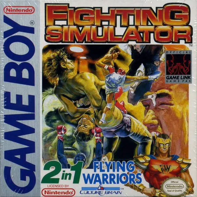 Capa de Fighting Simulator