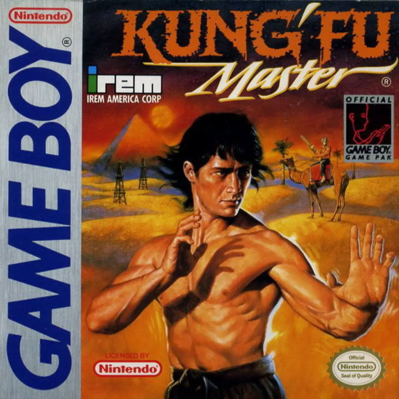 Capa de Kung Fu Master
