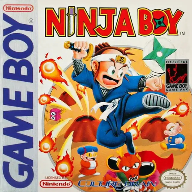 Capa de Ninja Boy