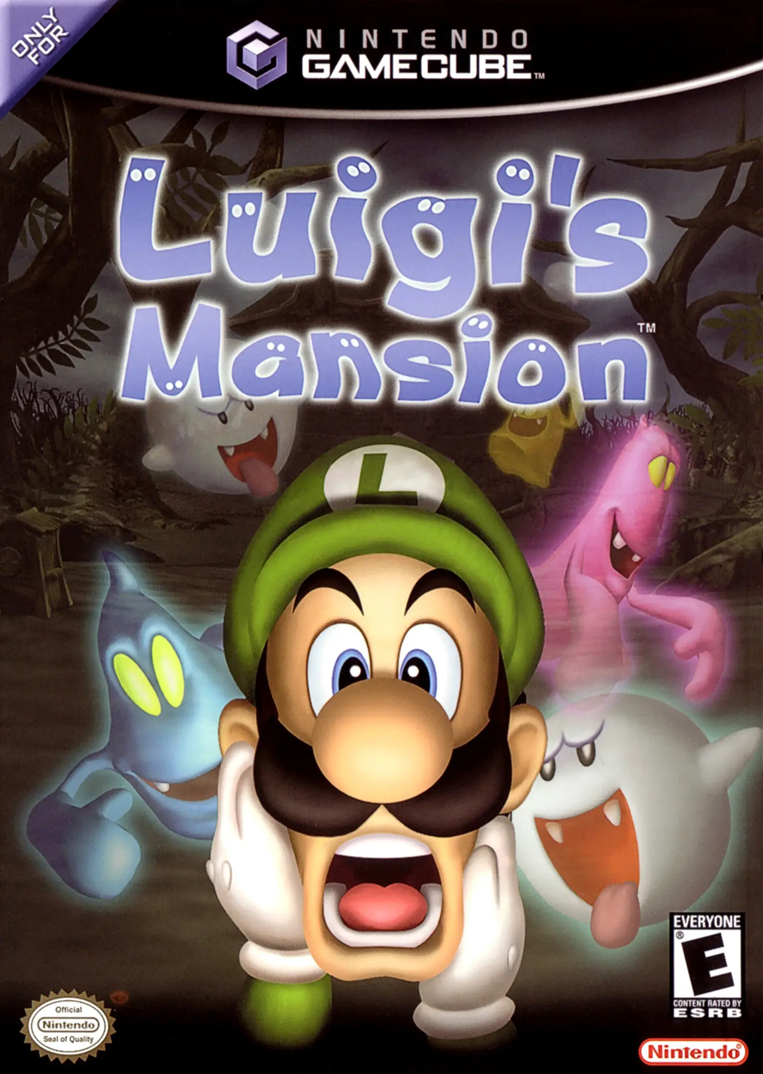 Capa de Luigi's Mansion