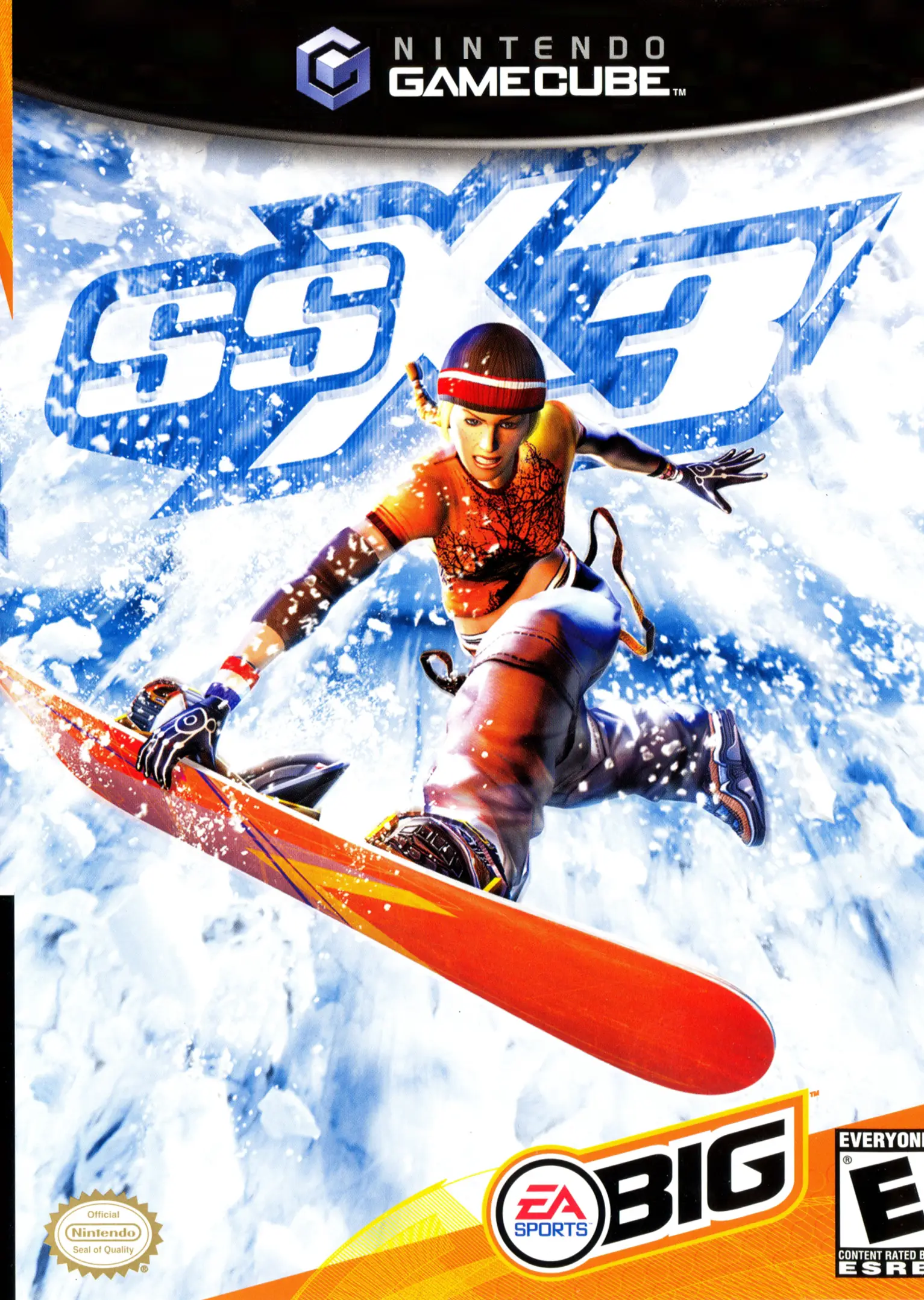Capa de SSX 3