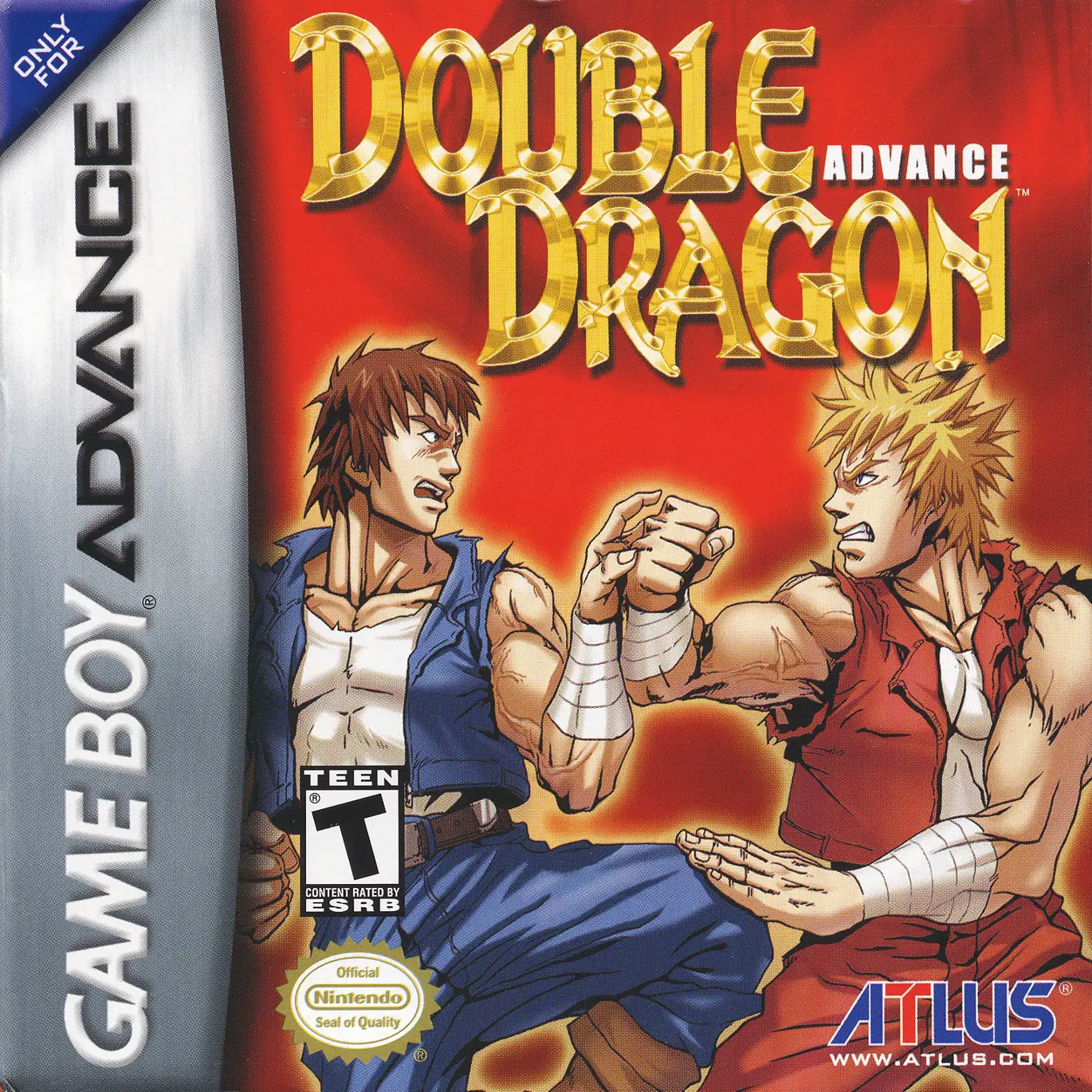 Capa de Double Dragon Advance