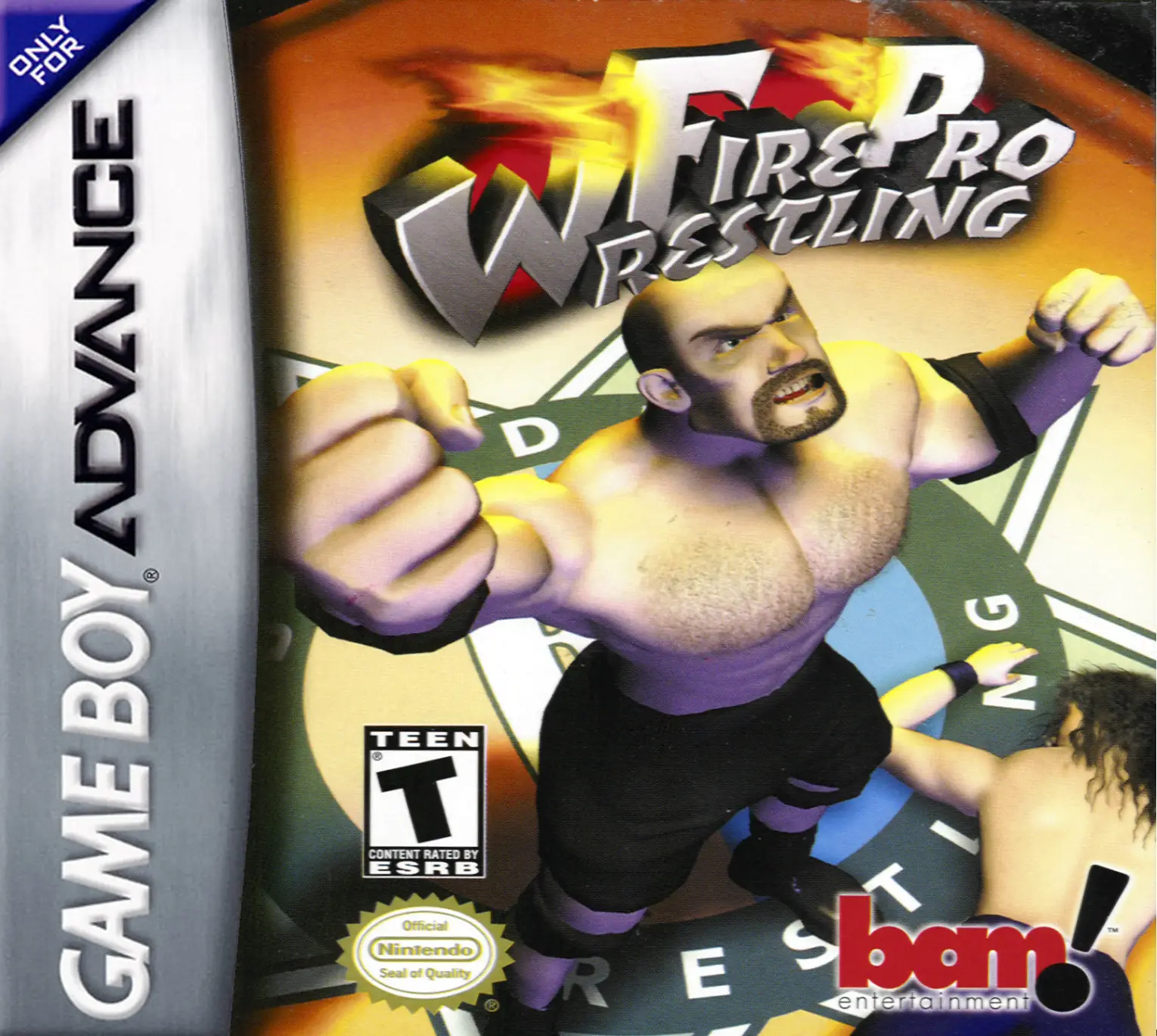 Capa de Fire Pro Wrestling