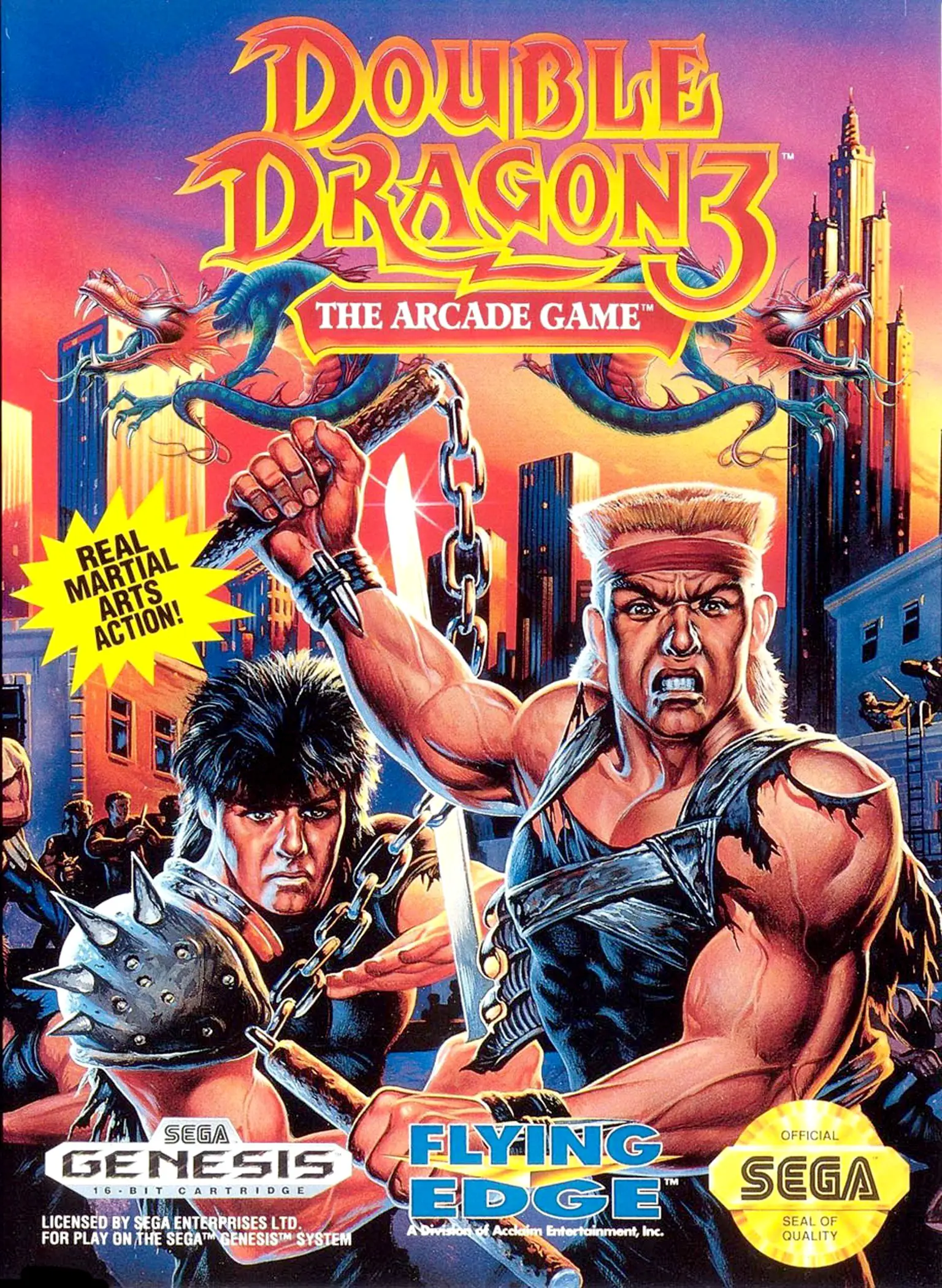 Capa de Double Dragon 3: The Arcade Game