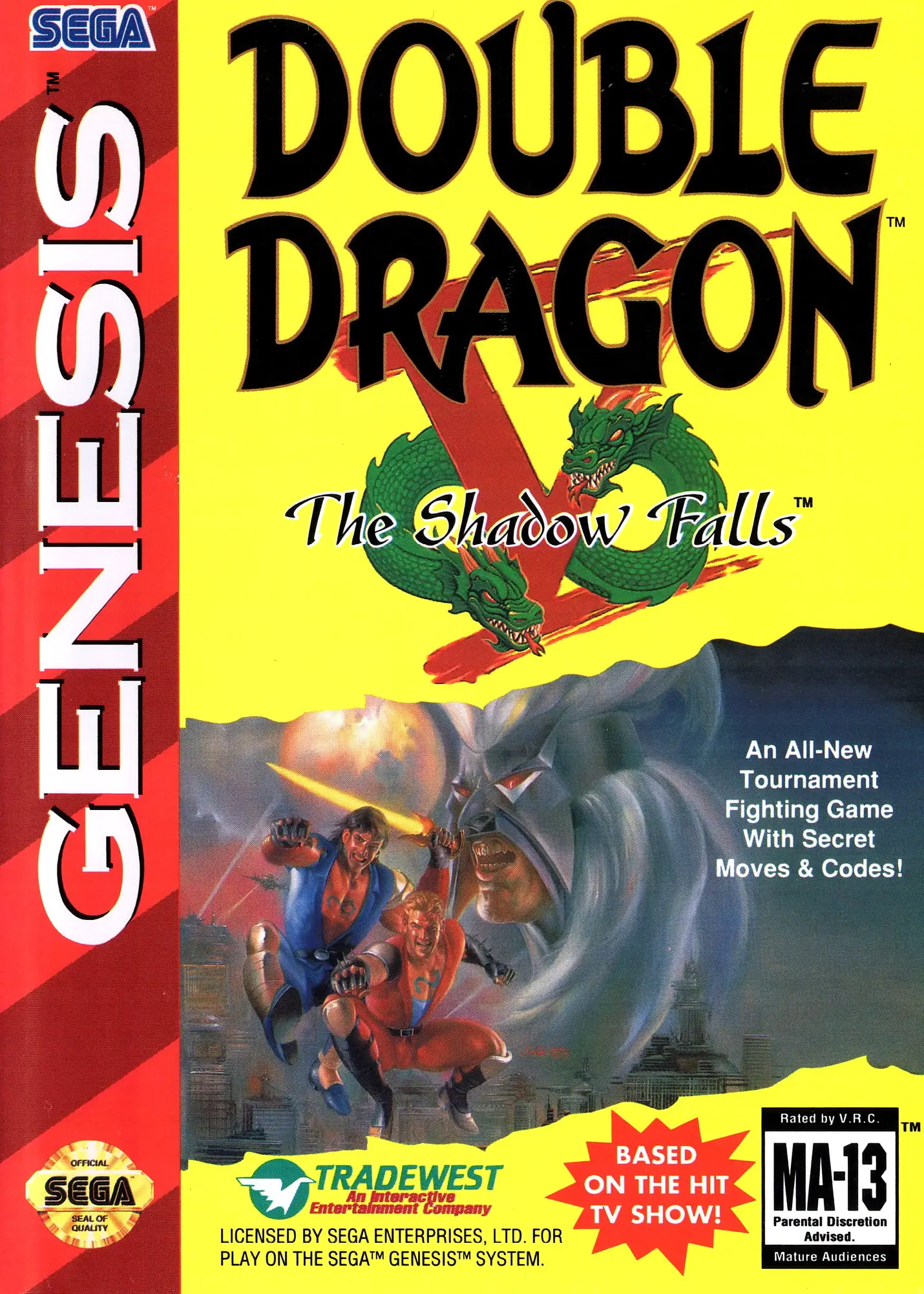 Capa de Double Dragon V: The Shadow Falls