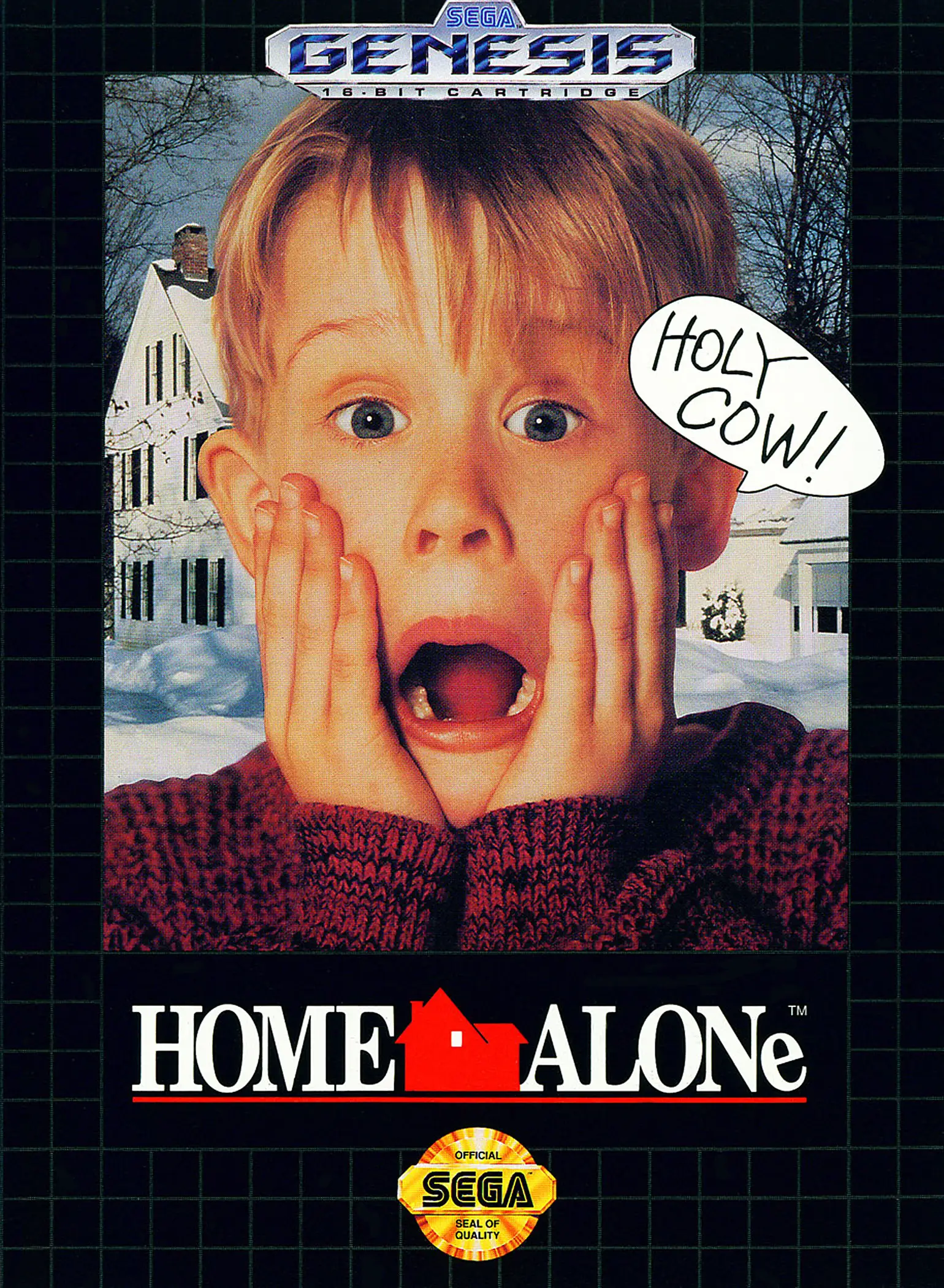 Capa de Home Alone