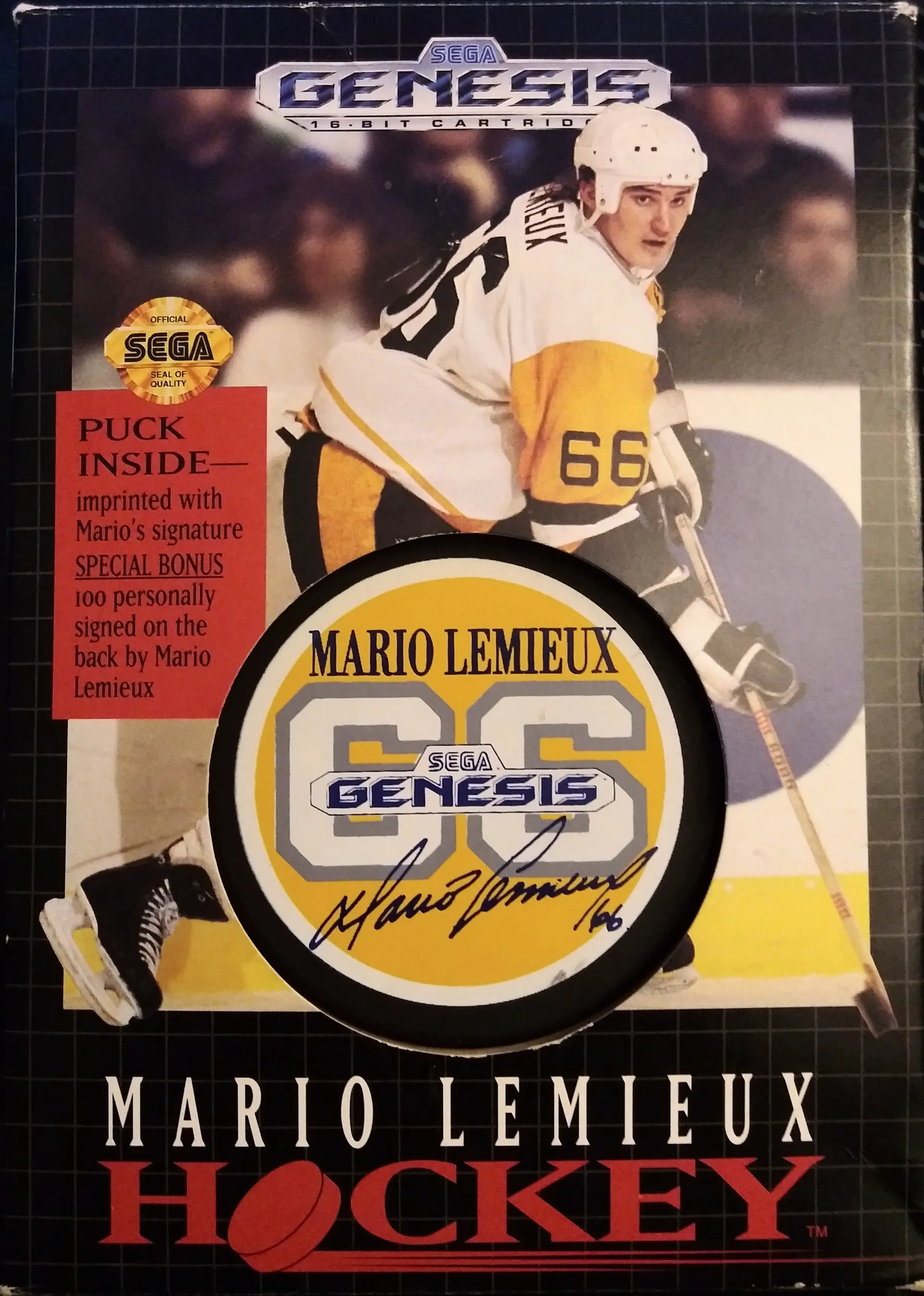 Capa de Mario Lemieux Hockey