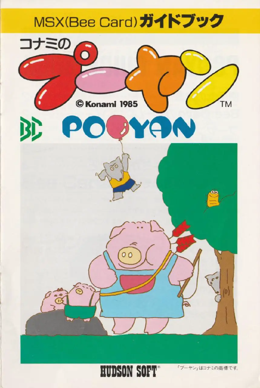 Capa de Pooyan