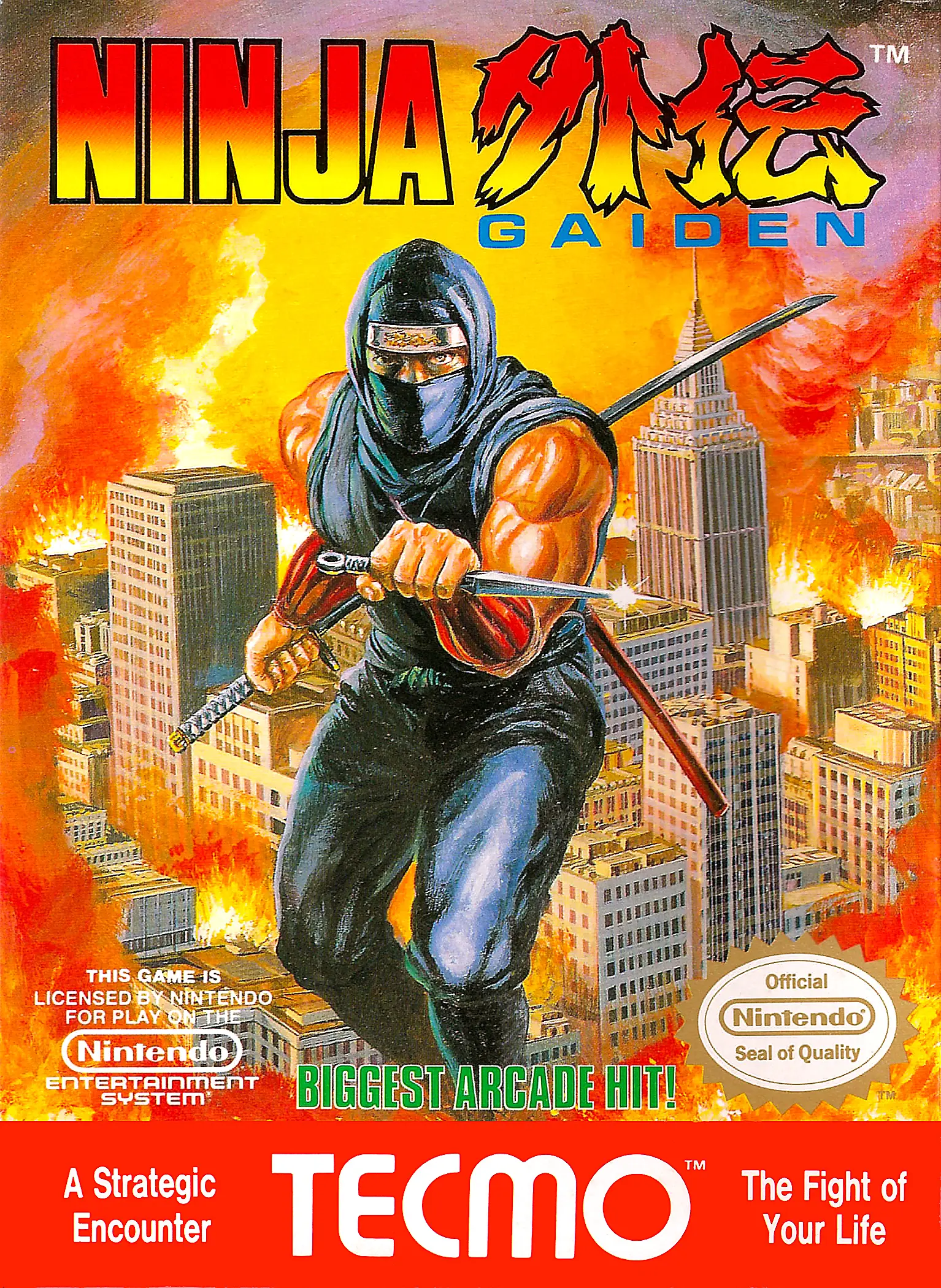 Capa de Ninja Gaiden