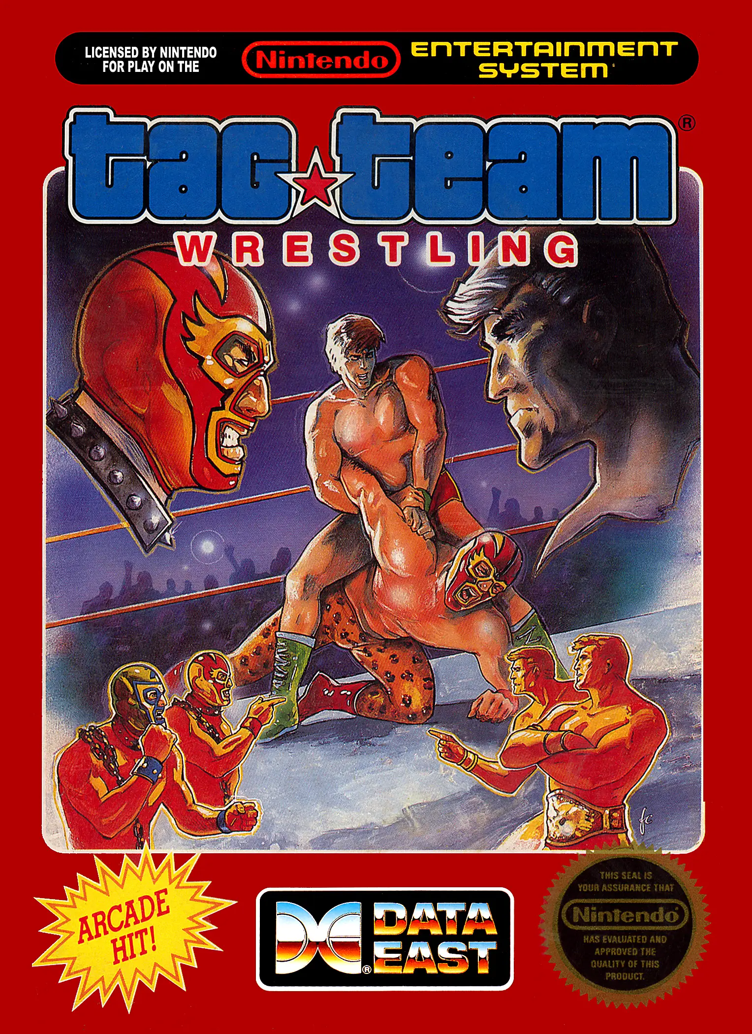 Capa de Tag Team Wrestling