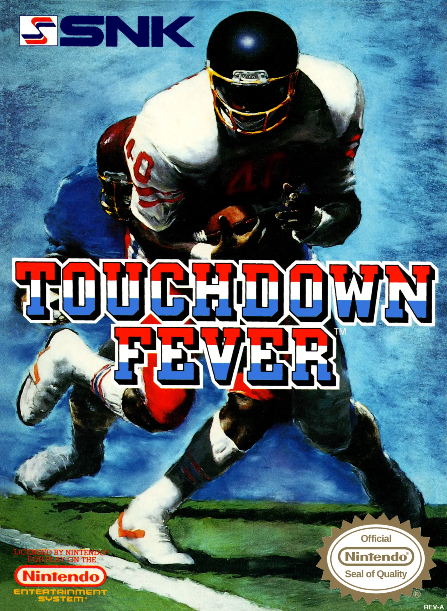 Capa de Touchdown Fever
