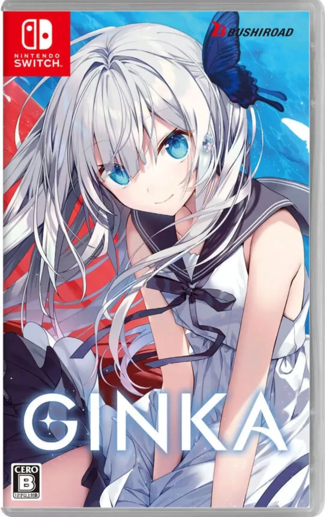 Capa de GINKA