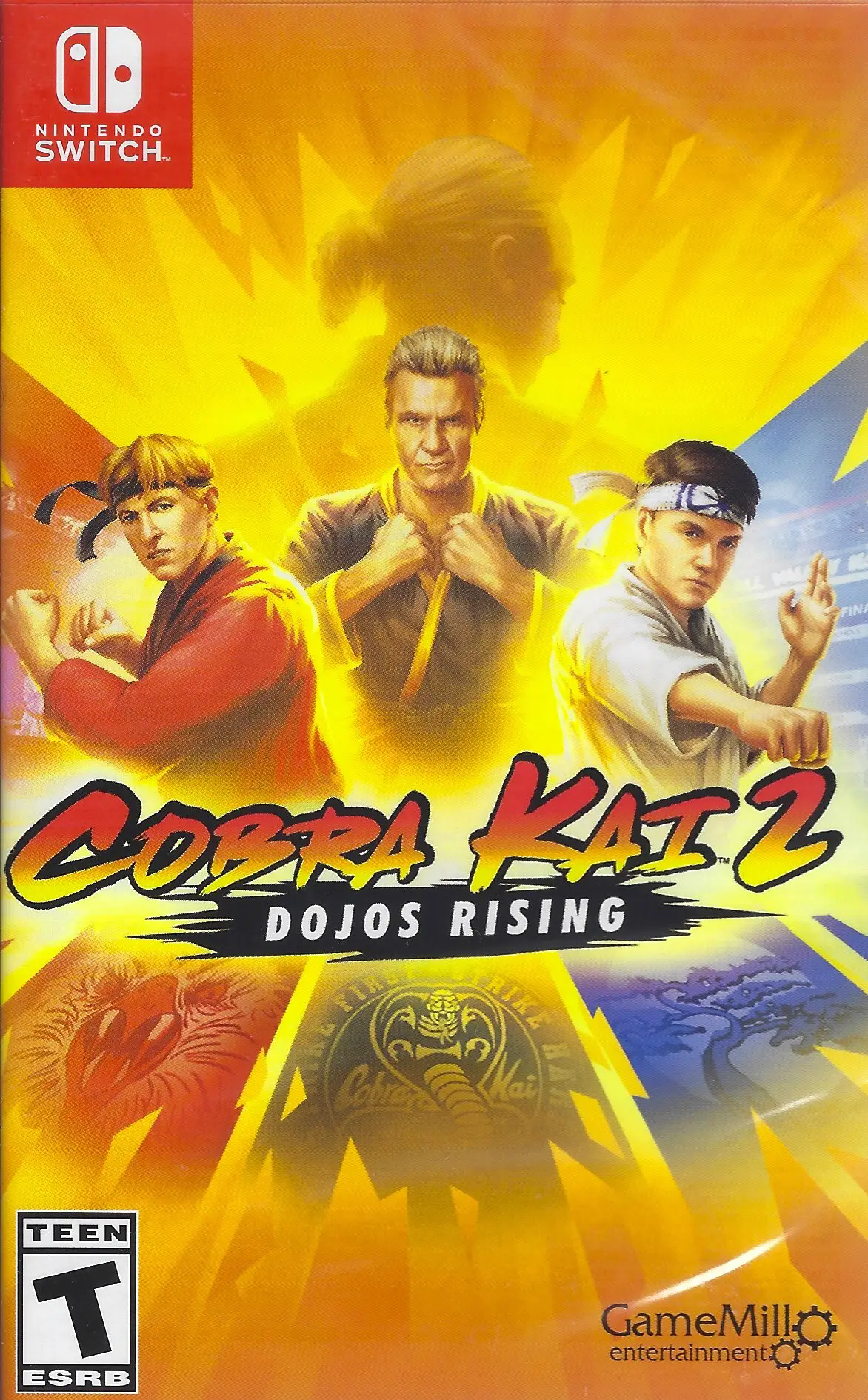 Capa de Cobra Kai 2: Dojos Rising