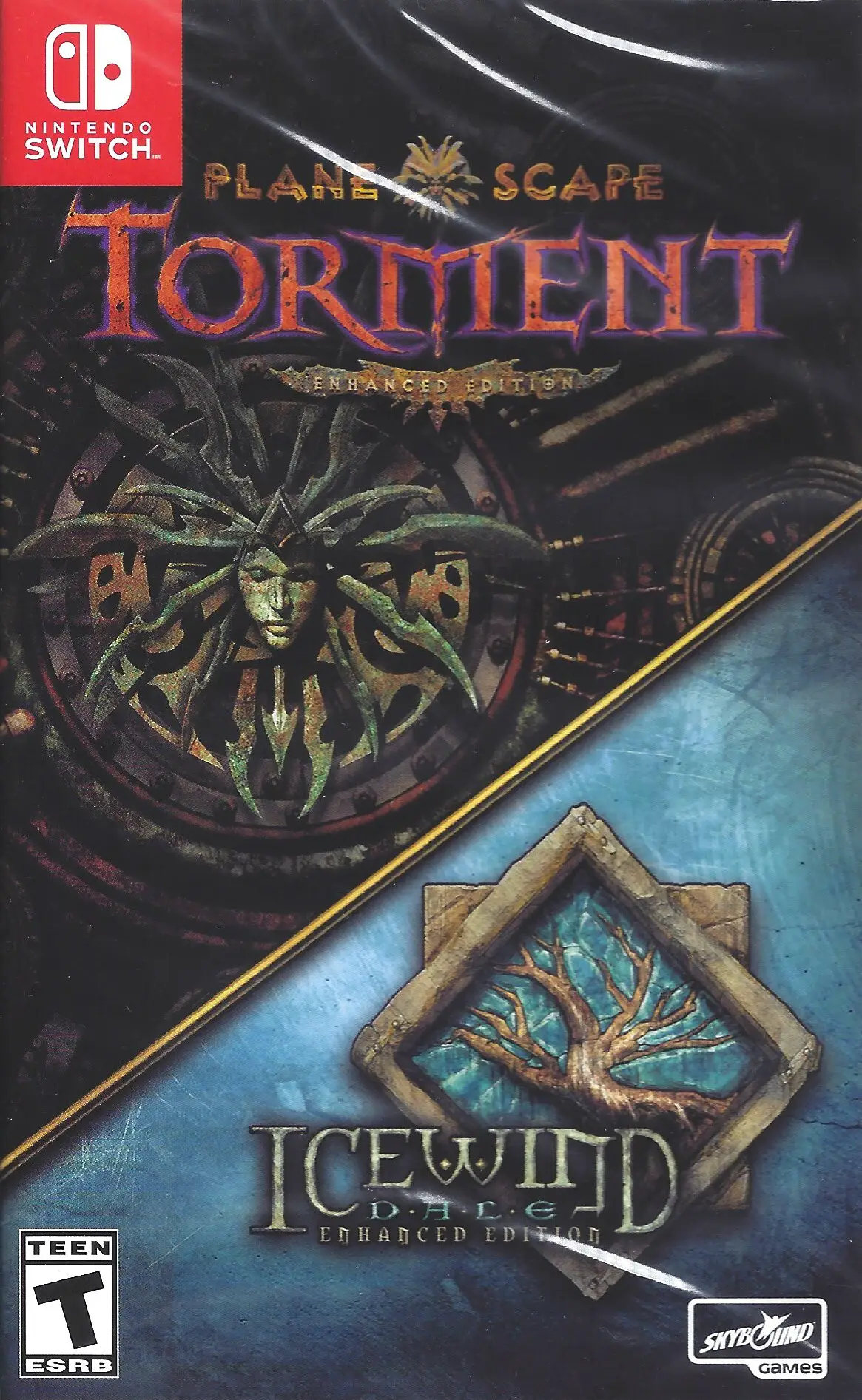 Capa de Planescape: Torment: Enhanced Edition / Icewind Dale: Enhanced Edition