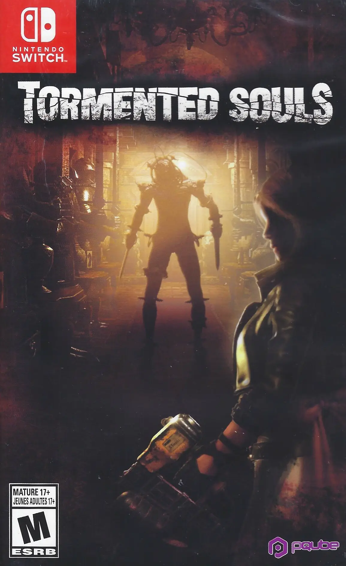 Capa de Tormented Souls