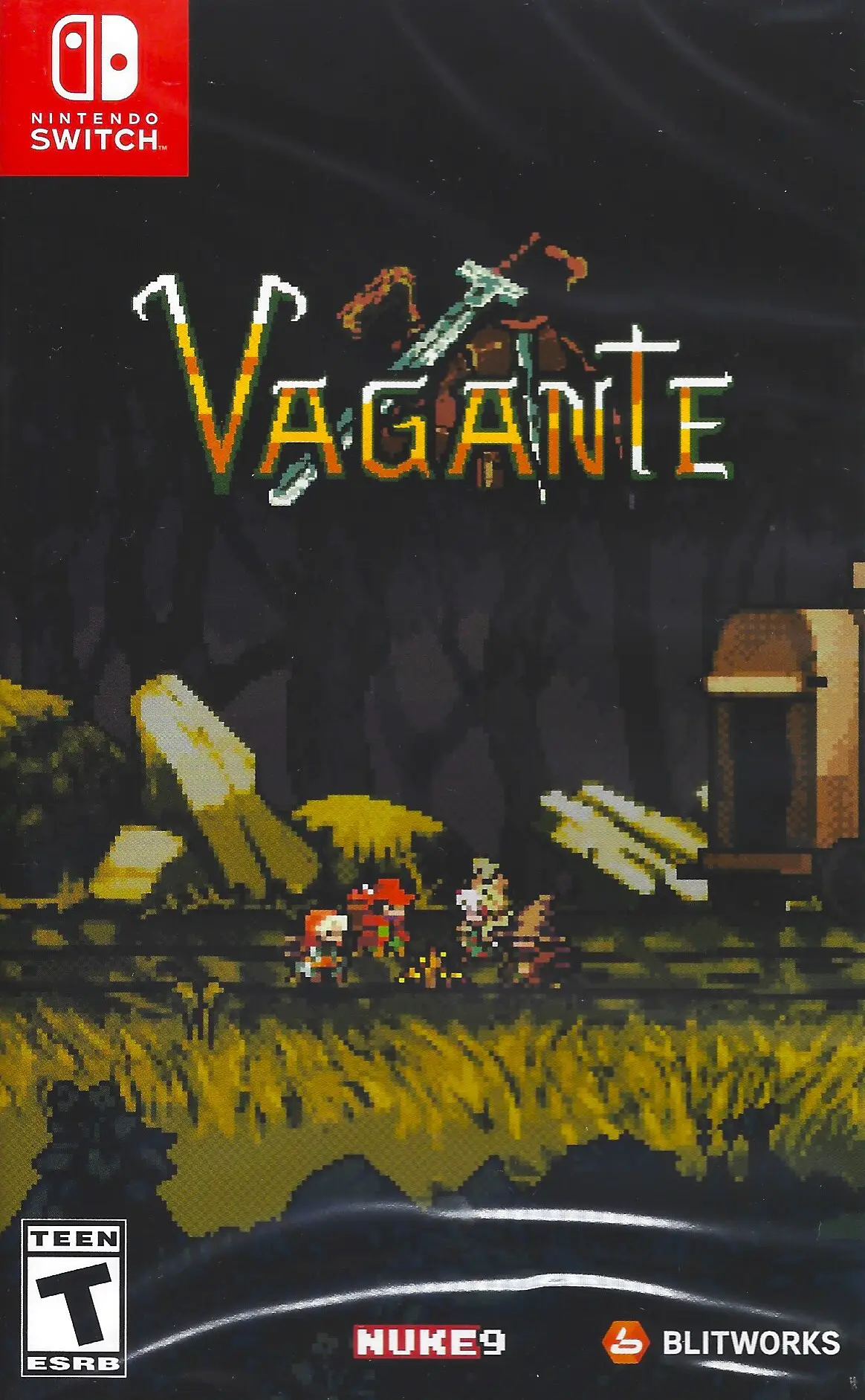 Capa de Vagante