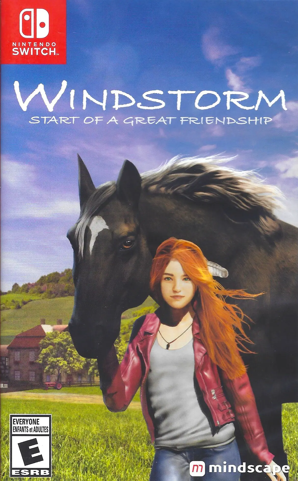 Capa de Windstorm: Start of a Great Friendship