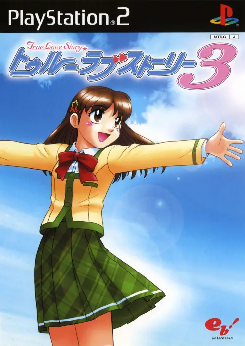 Capa de True Love Story 3