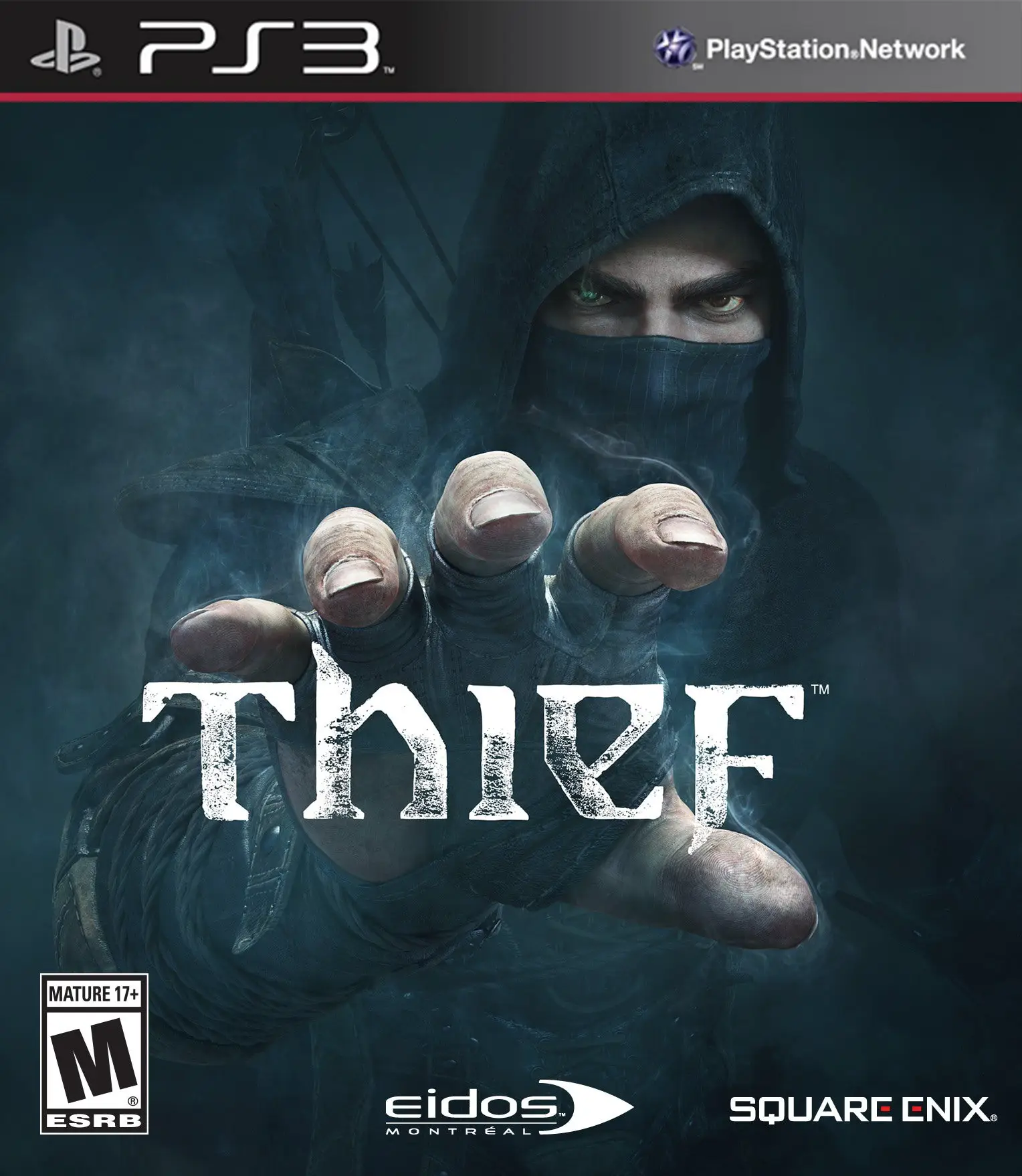 Capa de Thief