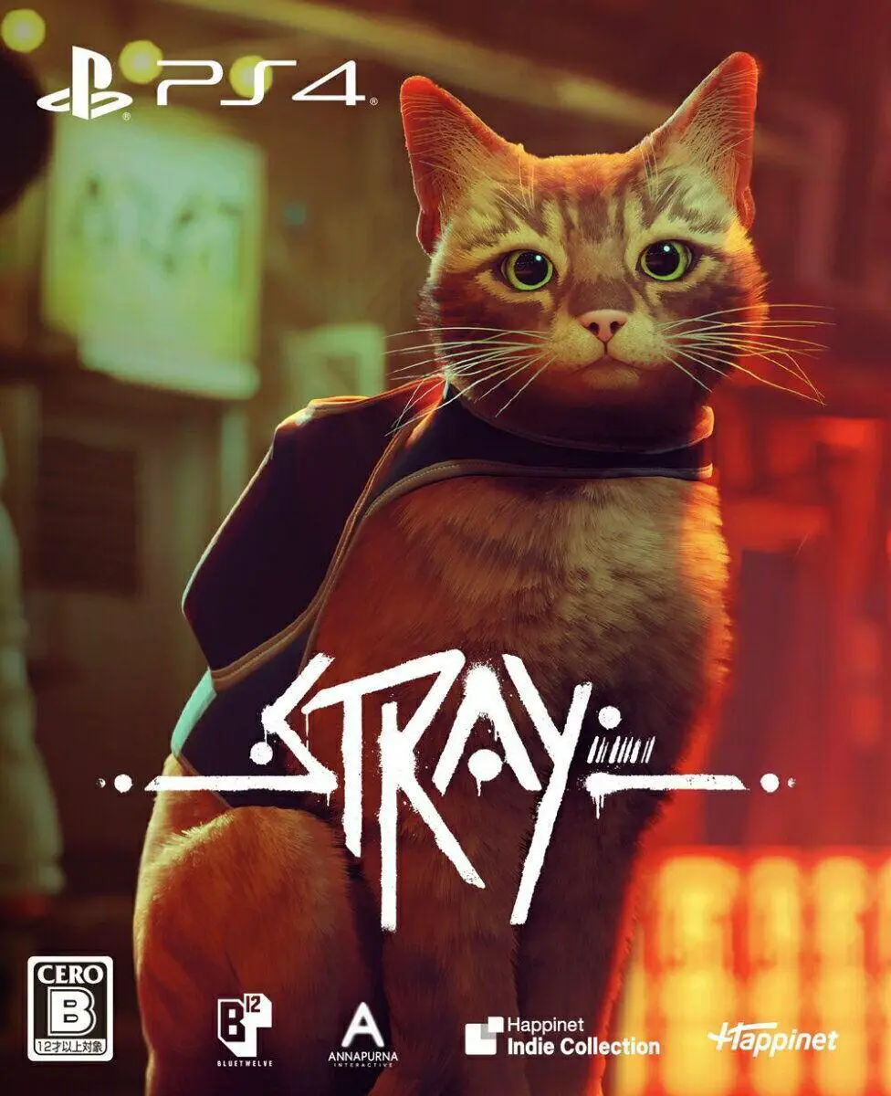 Capa de Stray [Special Edition]