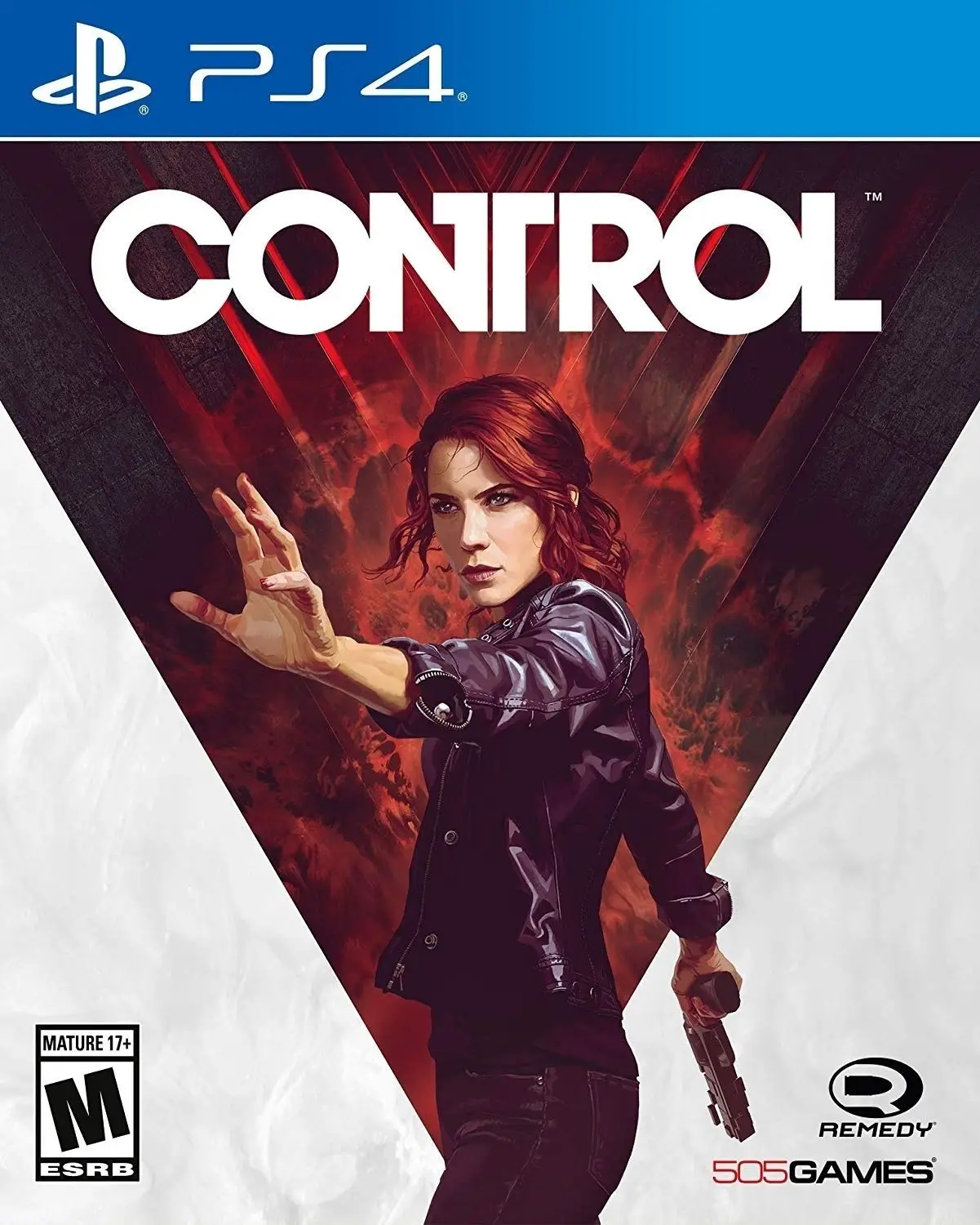 Capa de Control