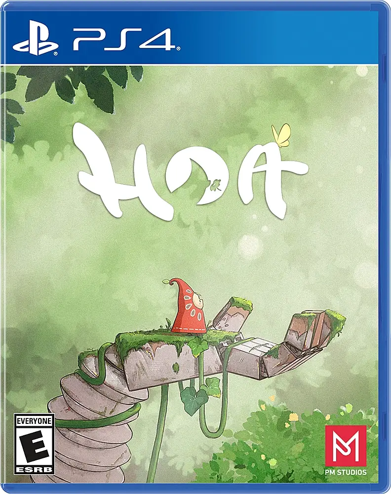 Capa de Hoa