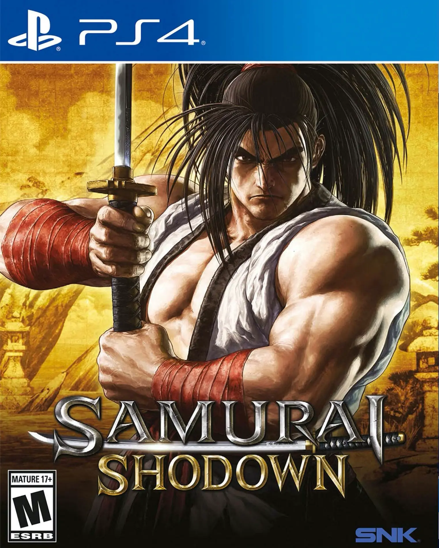 Capa de Samurai Shodown