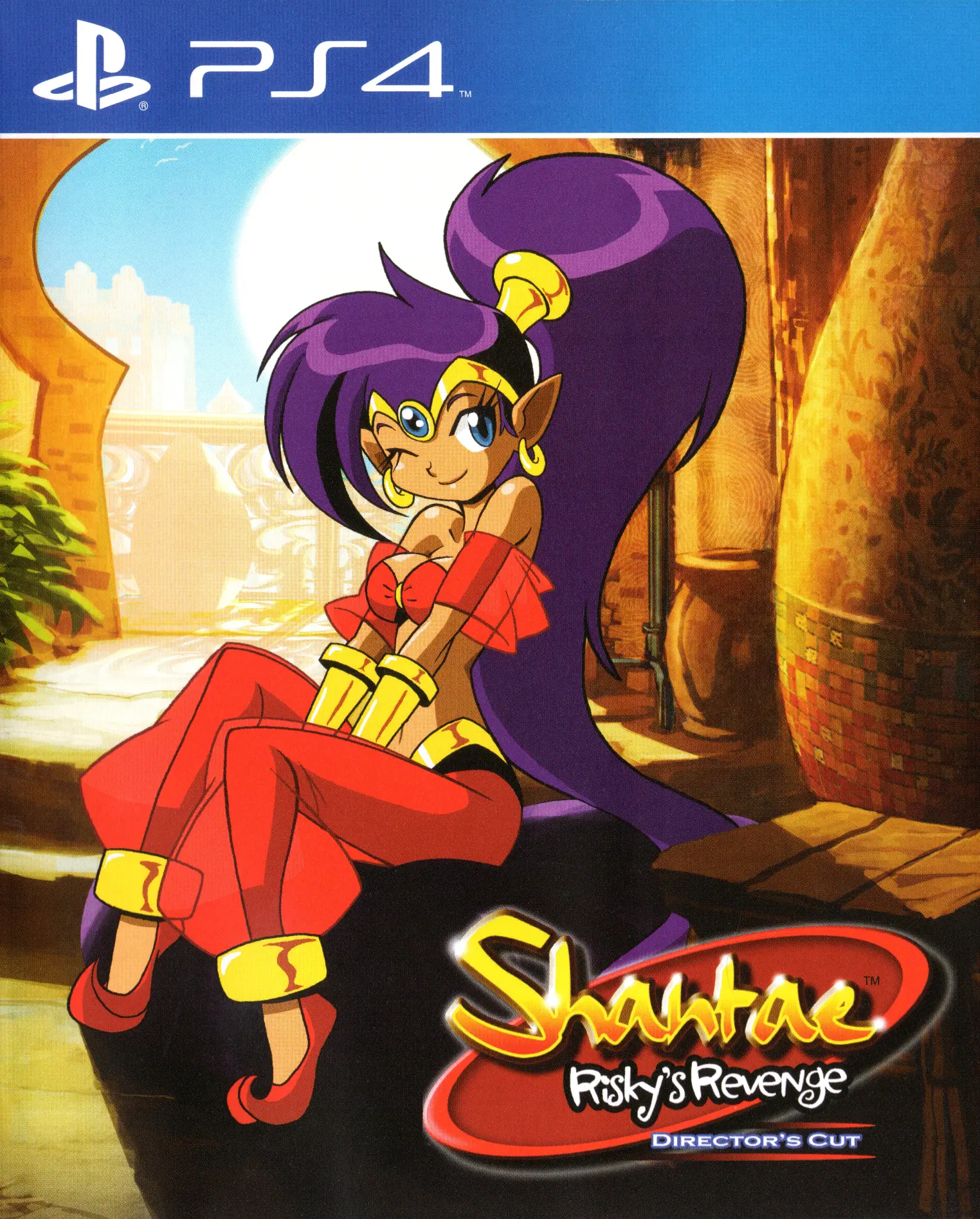 Capa de Shantae: Risky's Revenge - Director's Cut