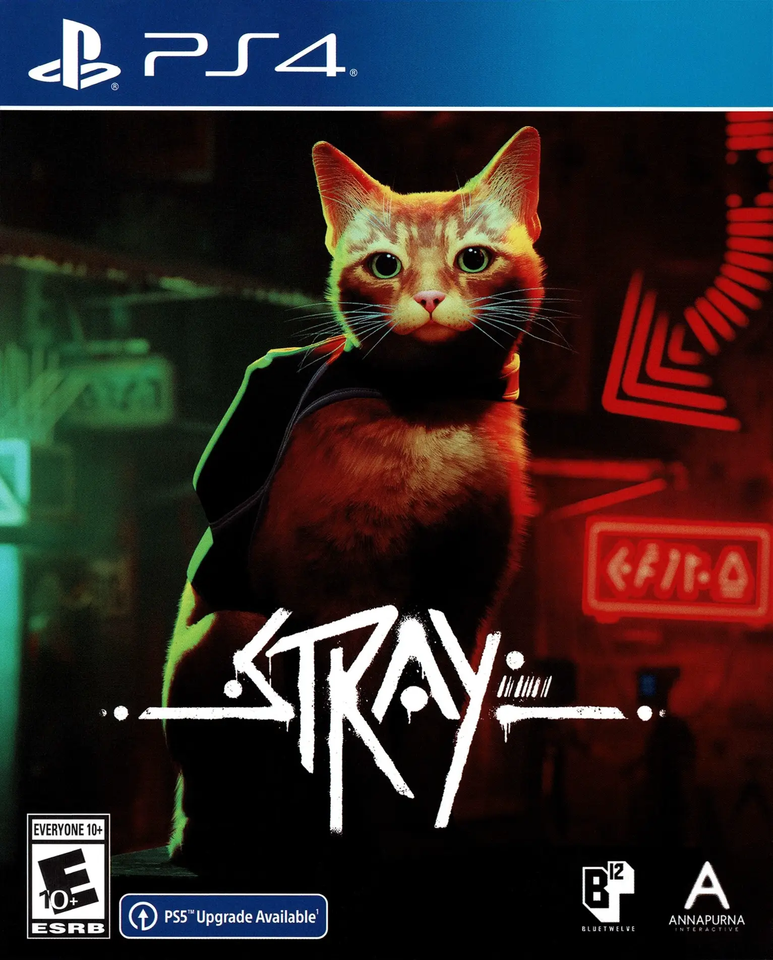 Capa de Stray