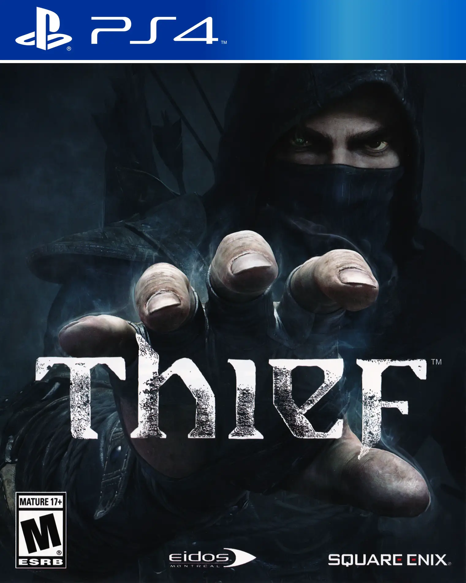Capa de Thief
