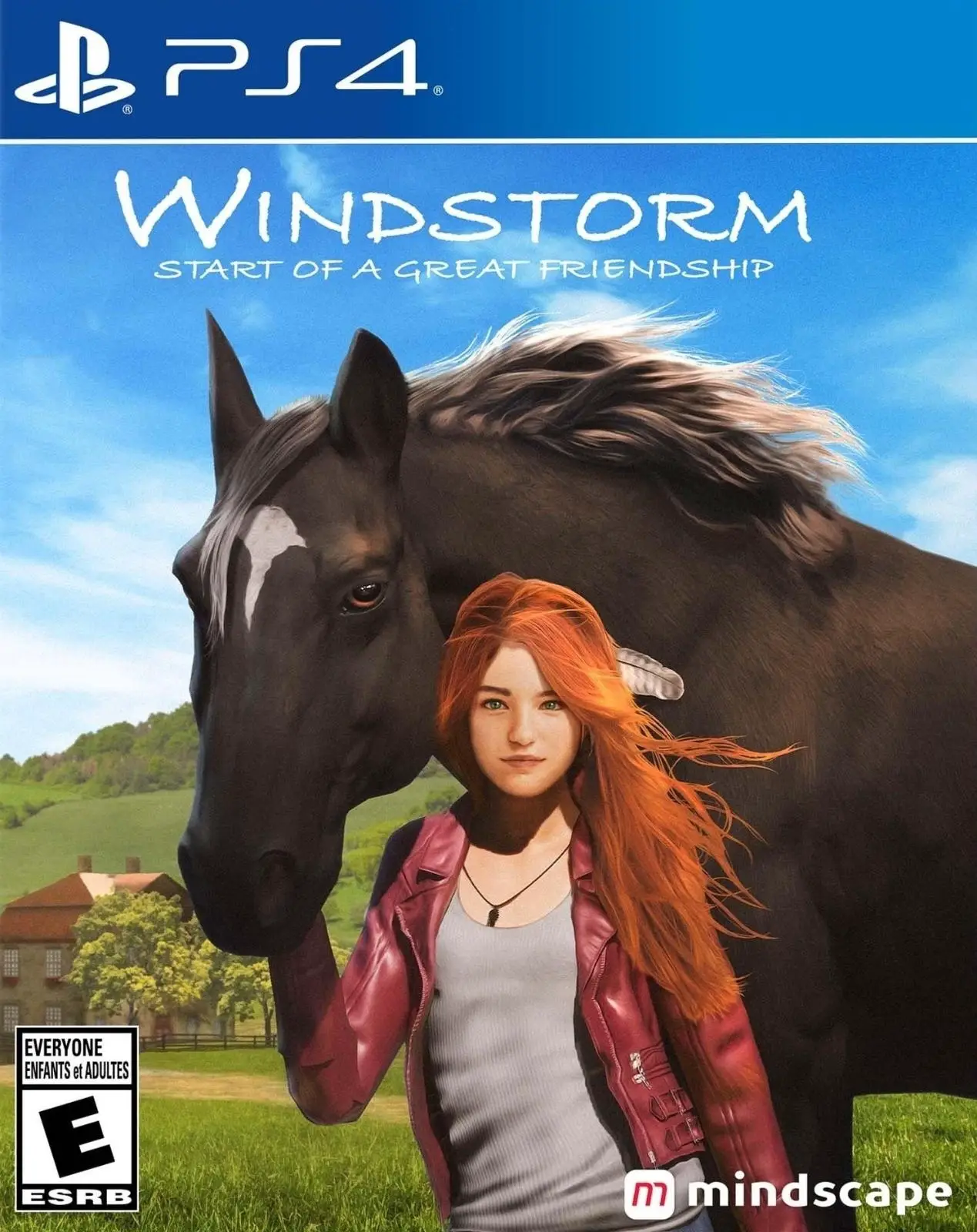 Capa de Windstorm: Start of A Great Friendship