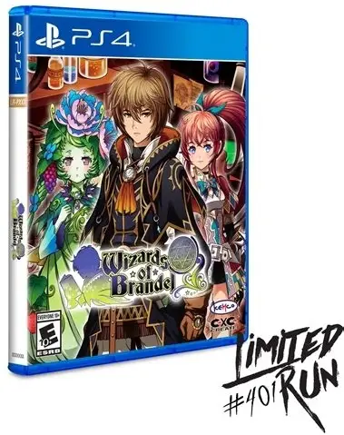 Capa de Wizards of Brandel