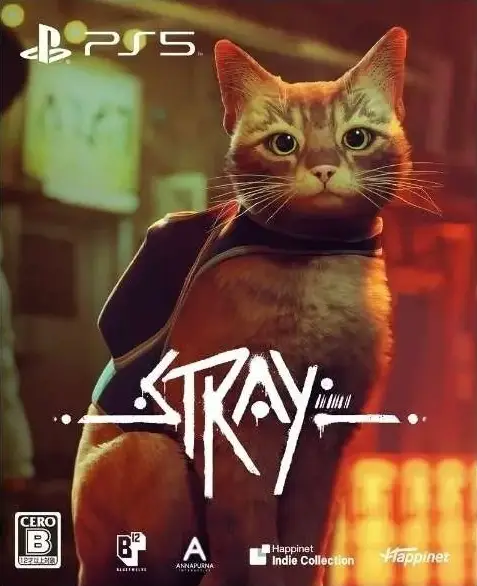 Capa de Stray [Special Edition]
