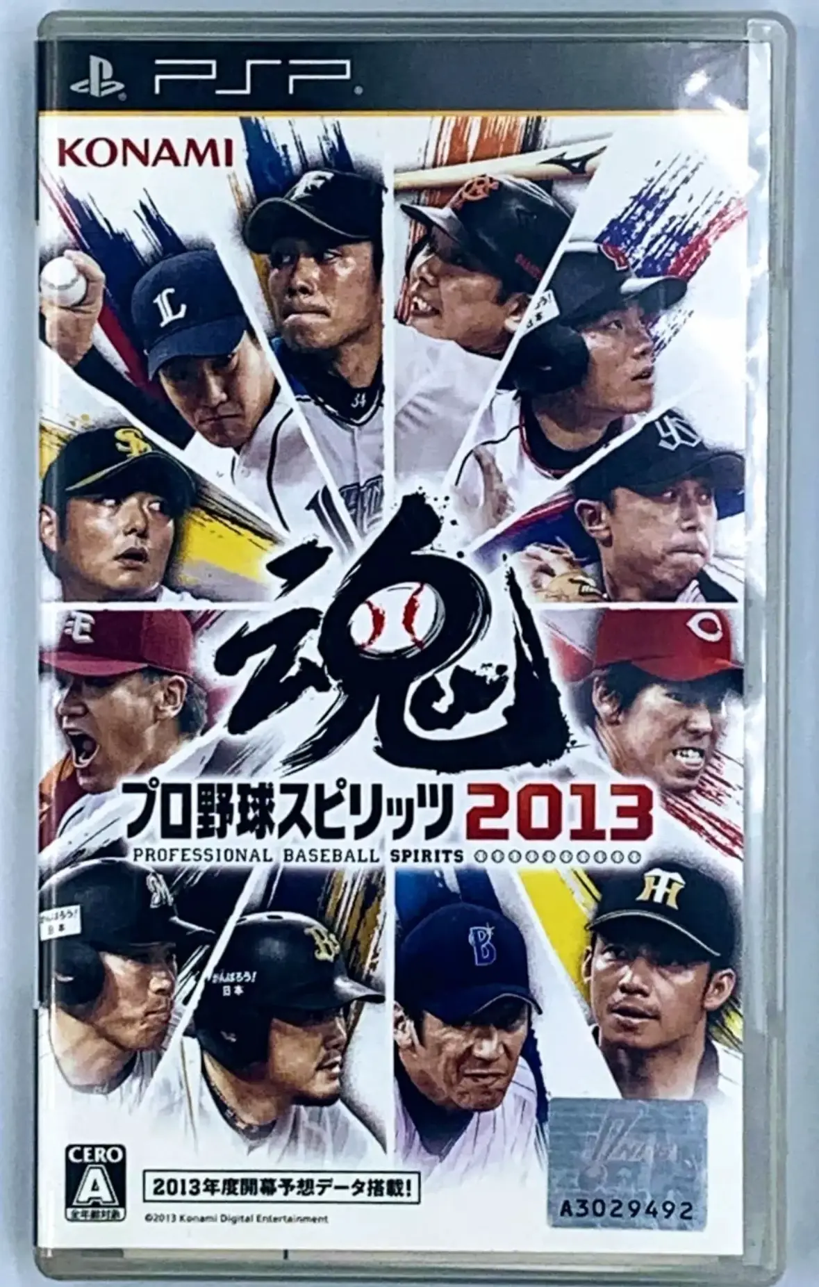 Capa de Pro Yakyuu Spirits 2013