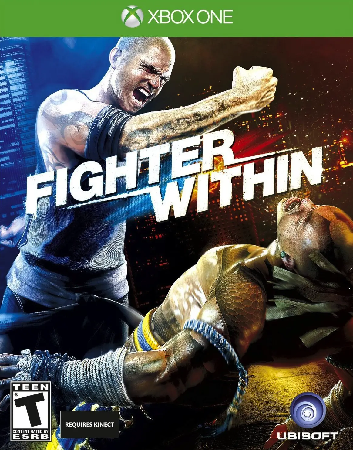 Capa de Fighter Within