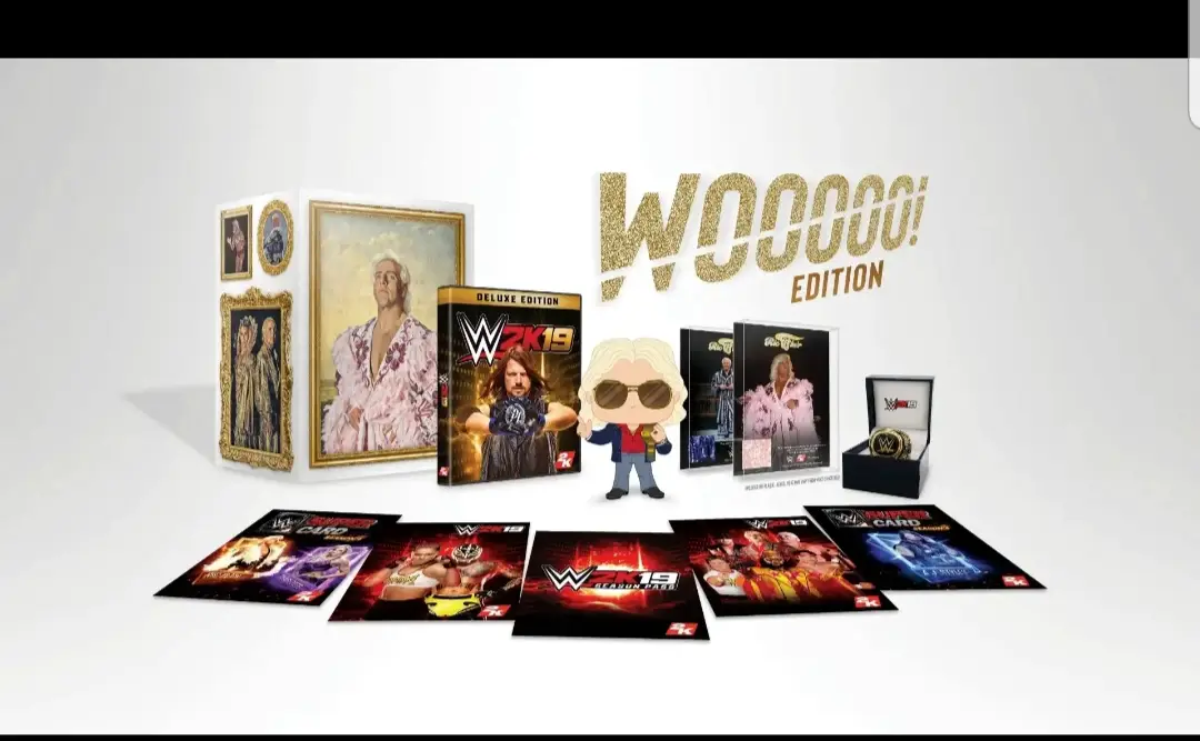 Capa de WWE 2k19 Woooo! Edition