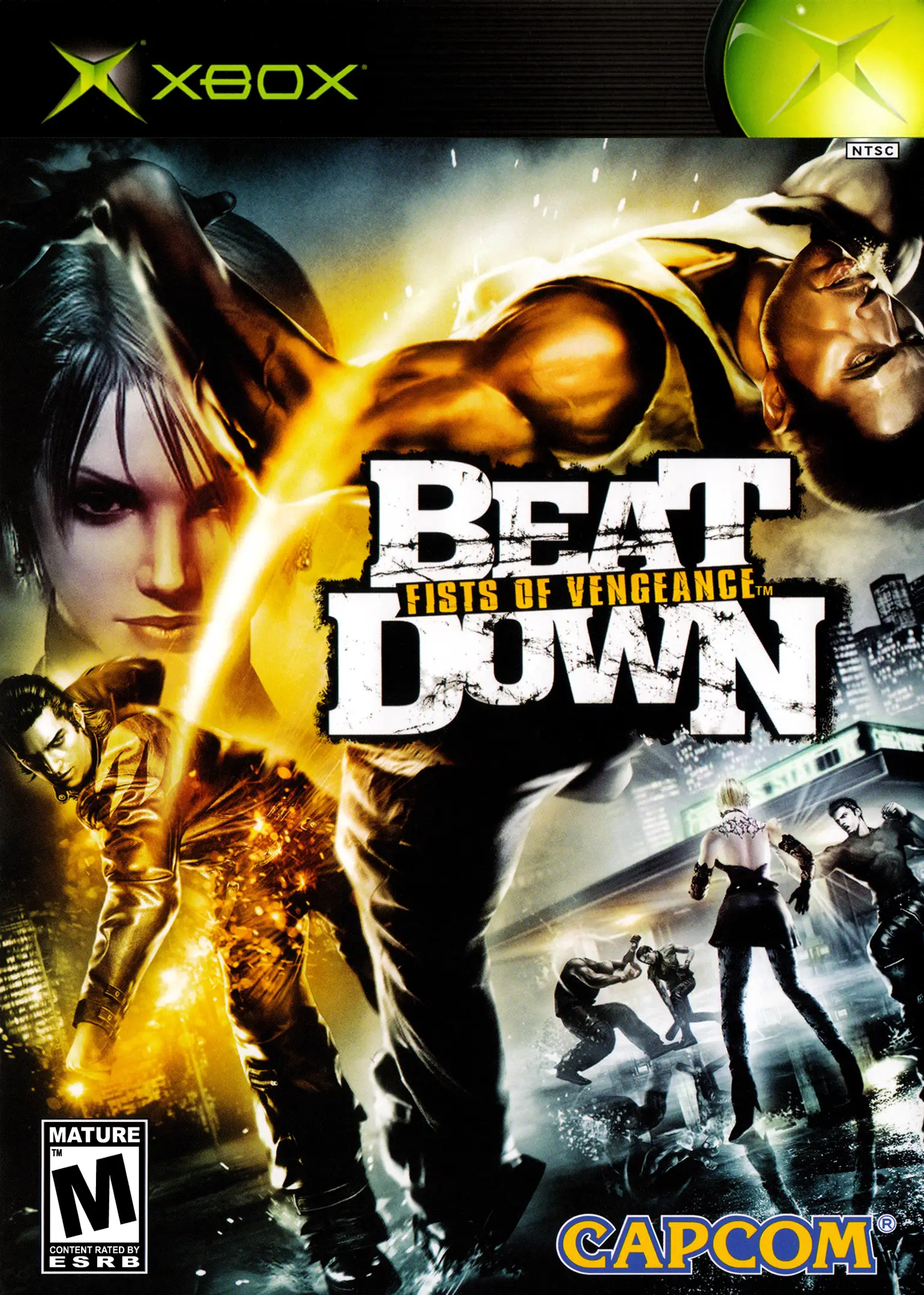 Capa de Beat Down: Fists of Vengeance